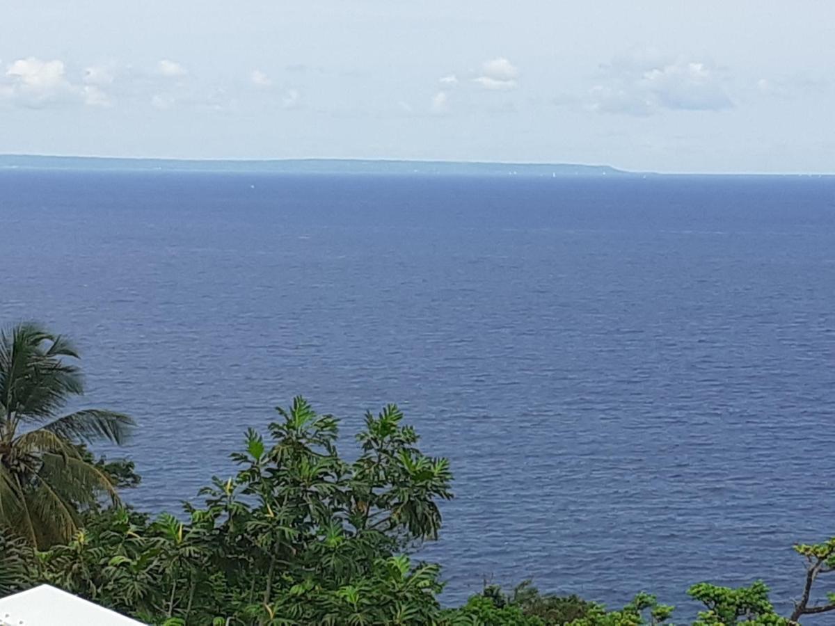 Awmony'Kaz, Gite A Trois-Rivieres Guadeloupe Luaran gambar