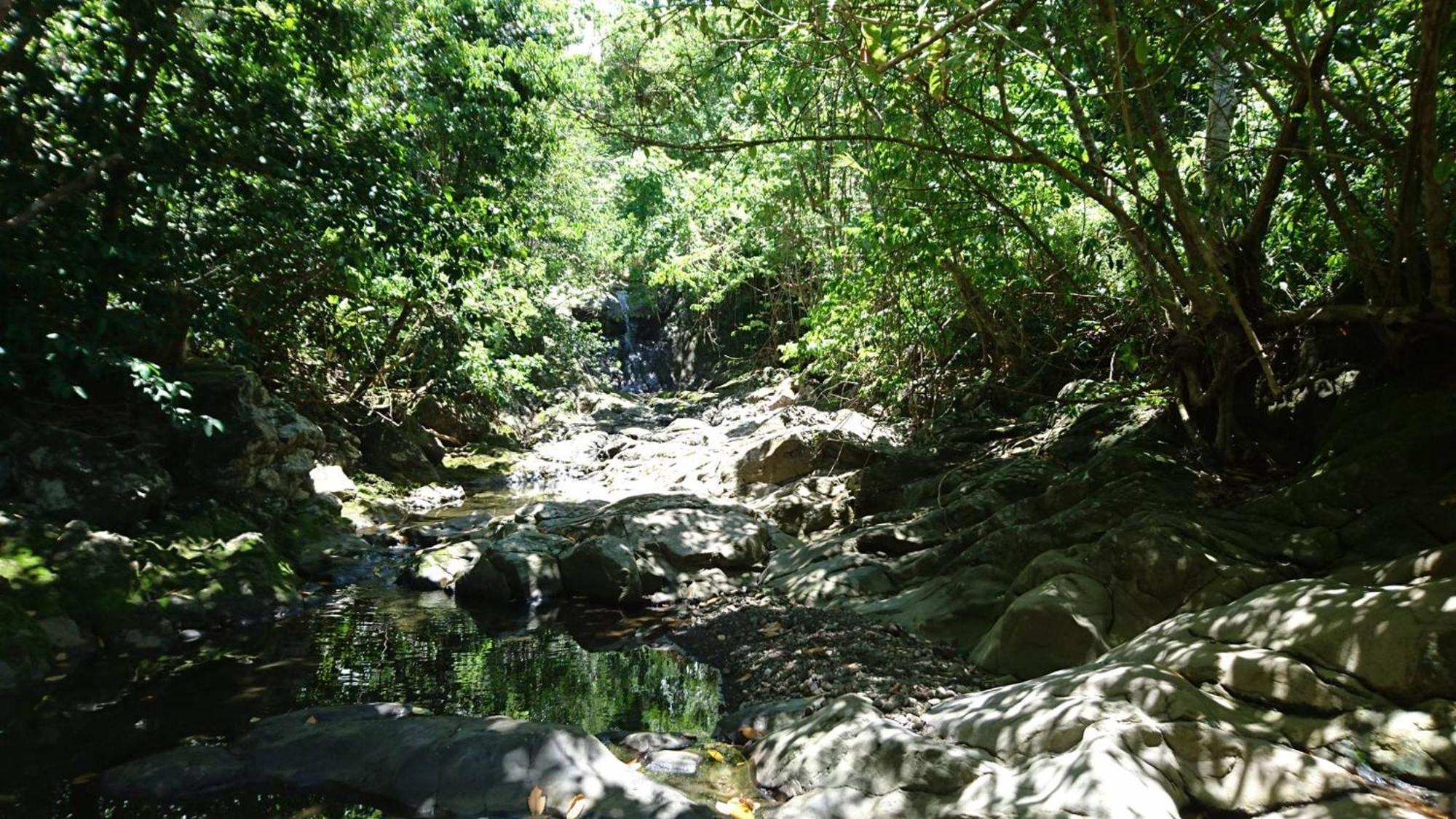 Awmony'Kaz, Gite A Trois-Rivieres Guadeloupe Luaran gambar