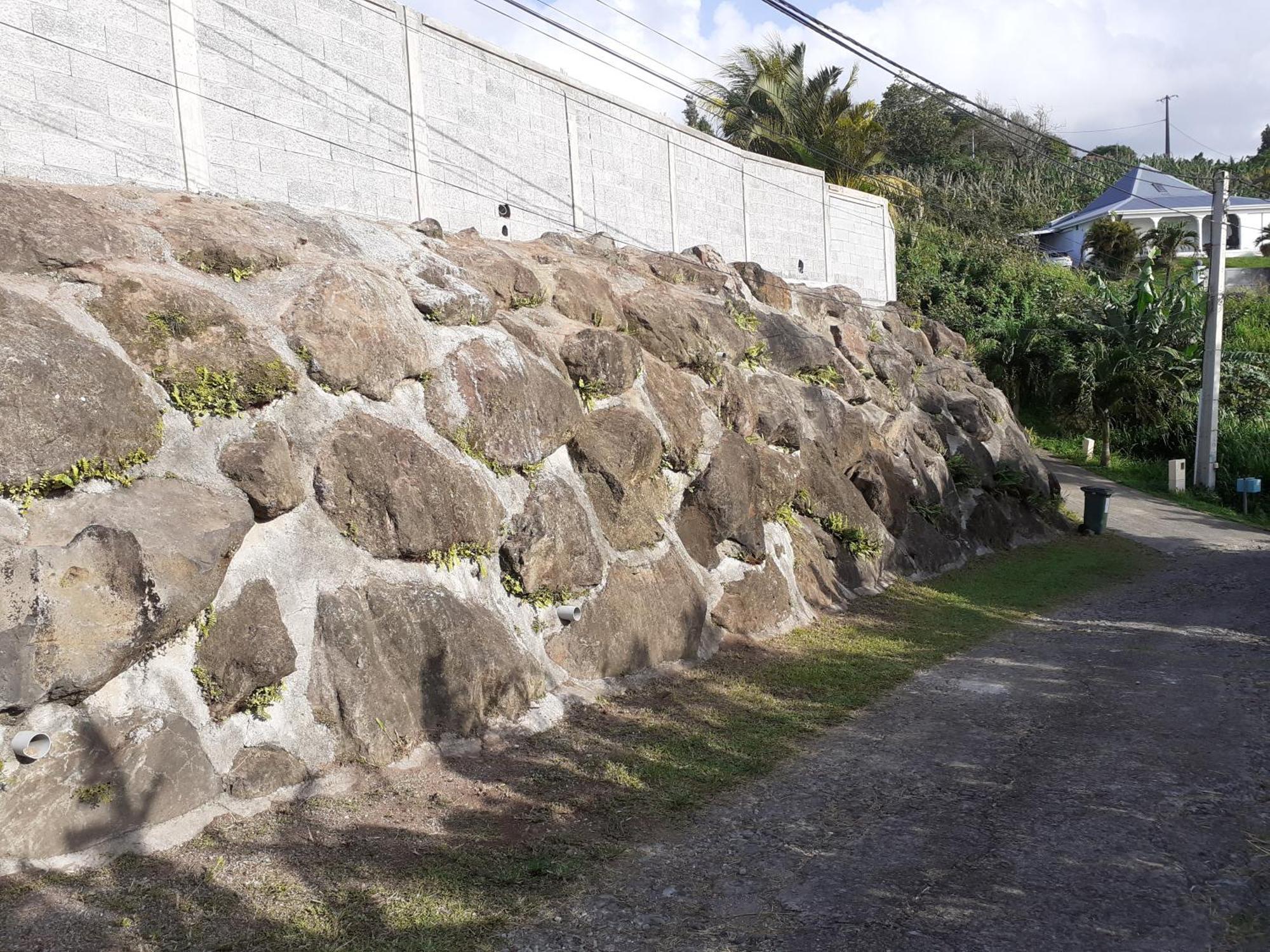 Awmony'Kaz, Gite A Trois-Rivieres Guadeloupe Luaran gambar
