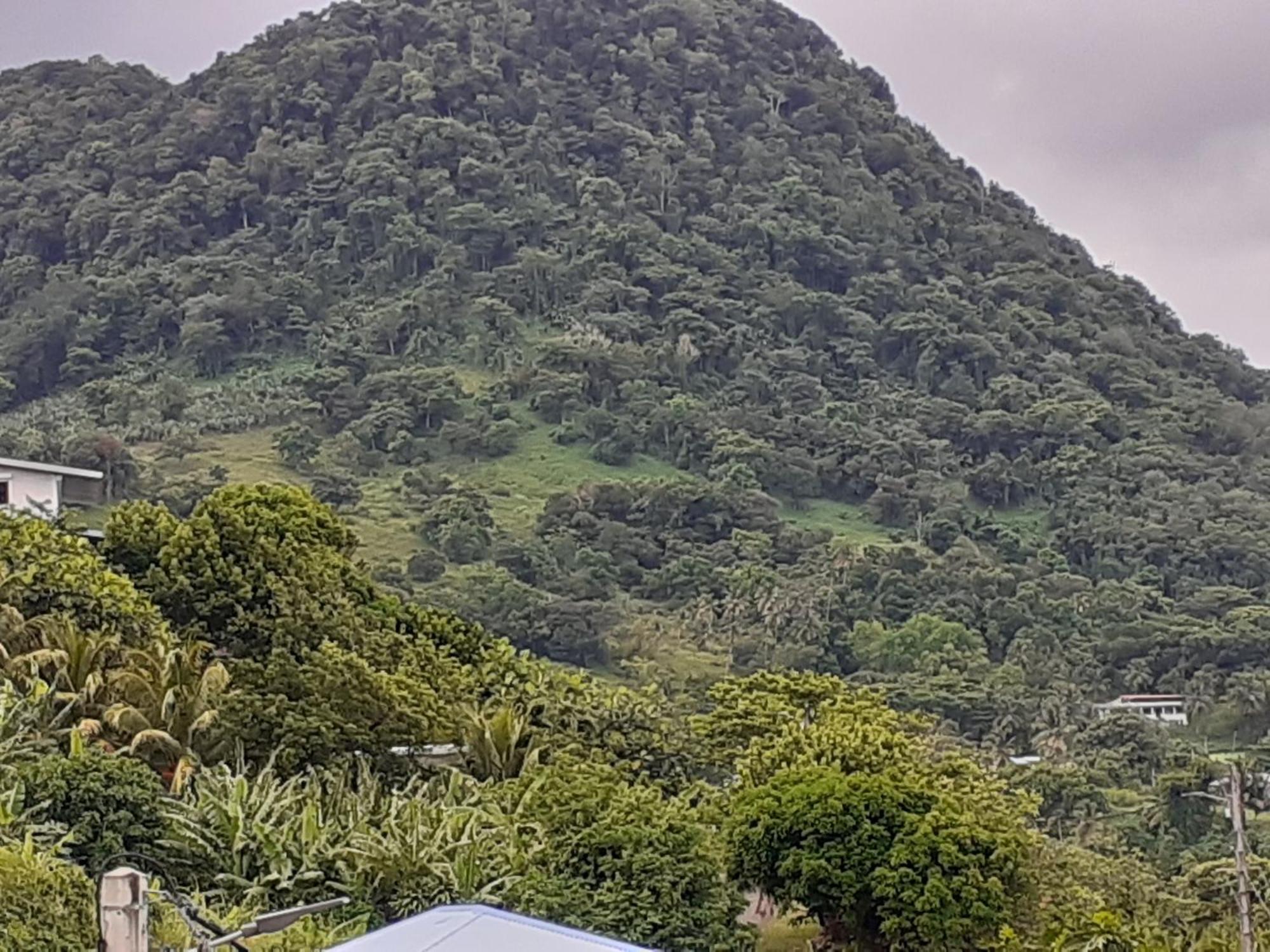 Awmony'Kaz, Gite A Trois-Rivieres Guadeloupe Luaran gambar