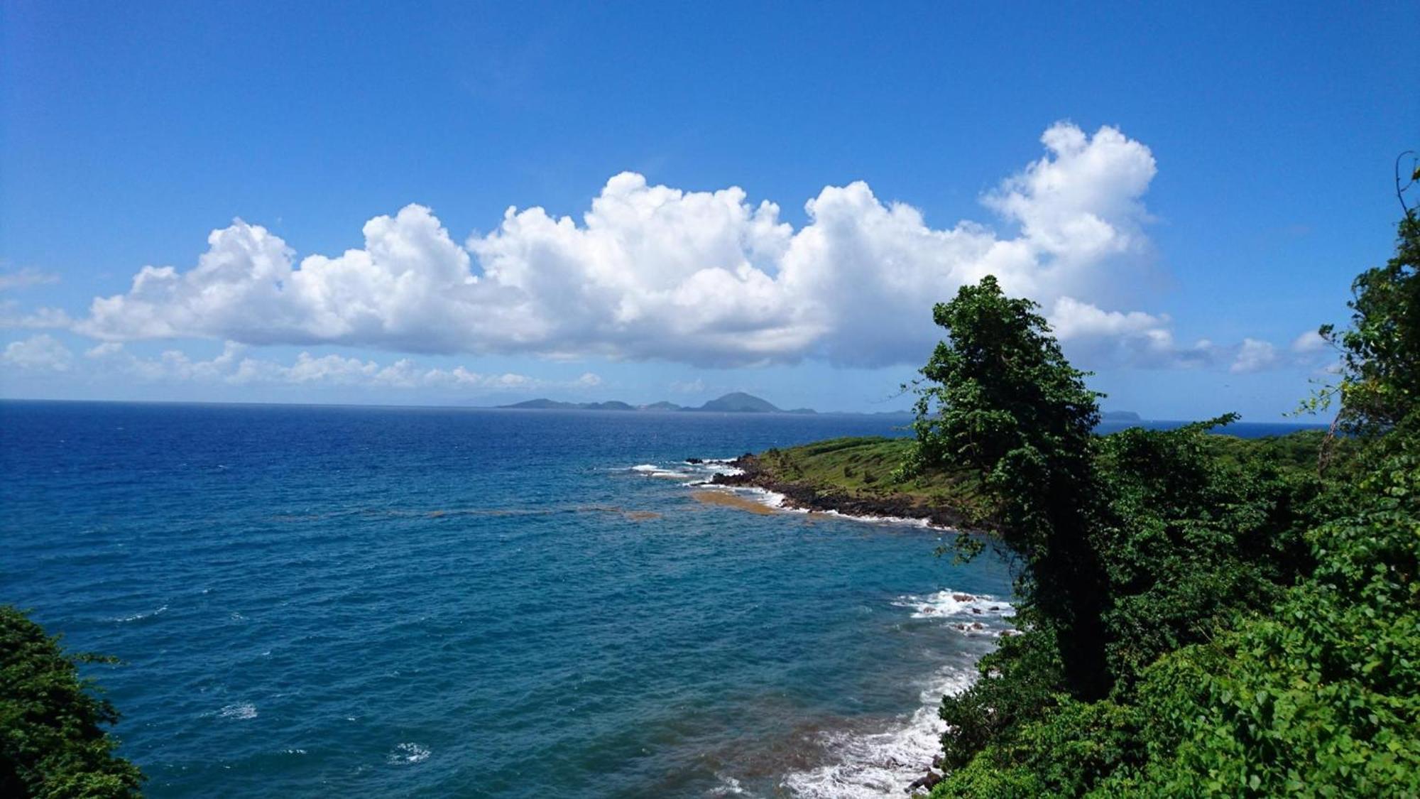 Awmony'Kaz, Gite A Trois-Rivieres Guadeloupe Luaran gambar